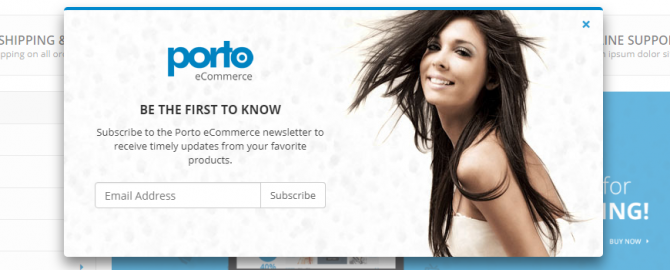 Porto E-Commerce Theme Popup