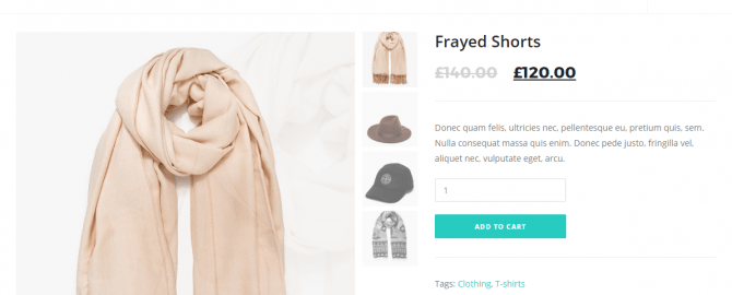 Concern Wordpress Product Detail Theme