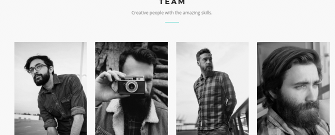 Wordpress Team Theme